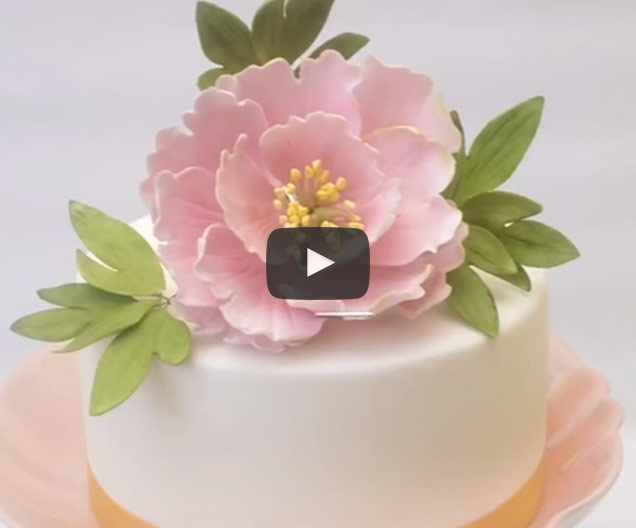 Peony Flowers Cake Video